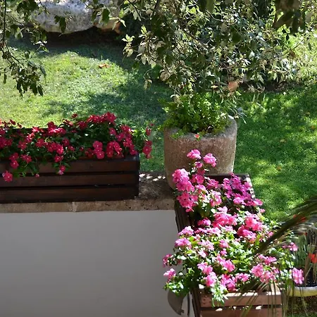 Masseria Labbruto مارتينا فرانكا